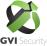 GVI Security